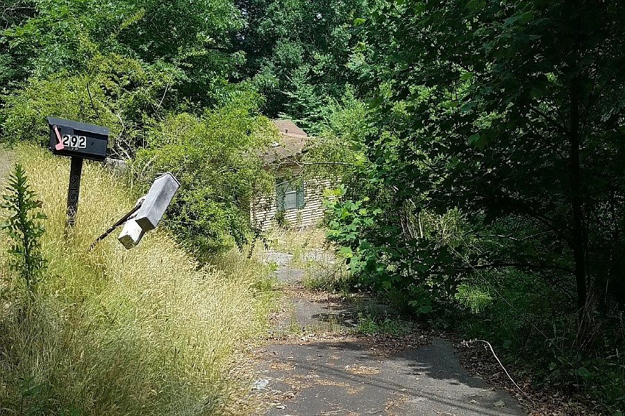 1st image of 292 Gobbler Cir