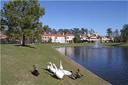 4th image of 15607 Bristol Lake Dr