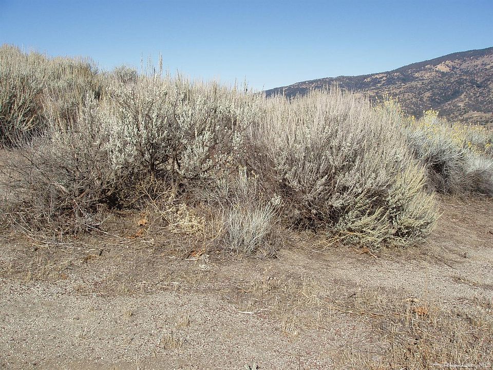 0 Skyline Dr Tehachapi, CA, 93561 Apartments for Rent Zillow