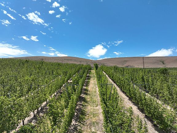 18358_Yakima-County-Washington-Orchard-138-Acres (5)