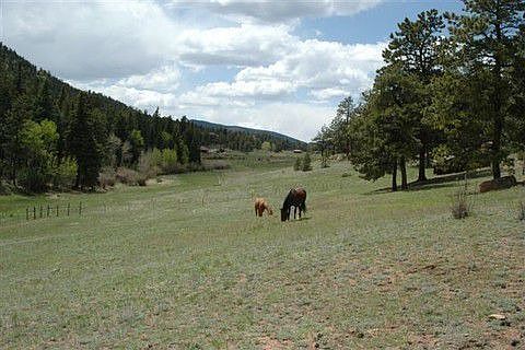 Lower Pasture