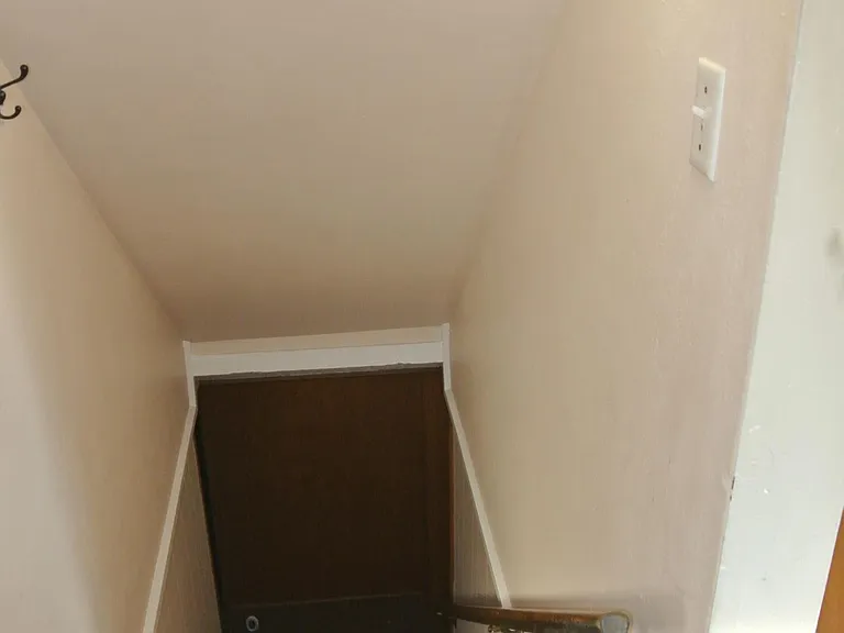 Going down into basement from the side door and kitchen.