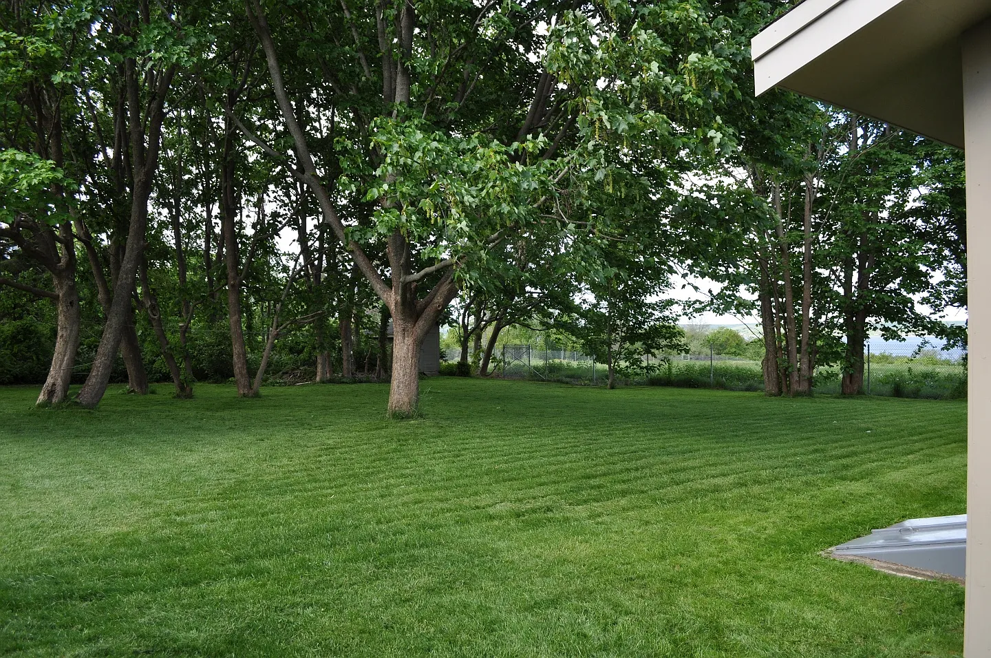 3 bed, 2350 sqft, $3,700 — Photo 3
