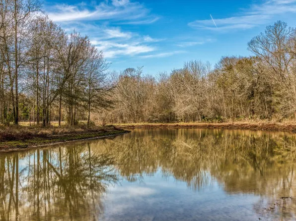 5280 Whitaker Way, Anderson, TX 77830