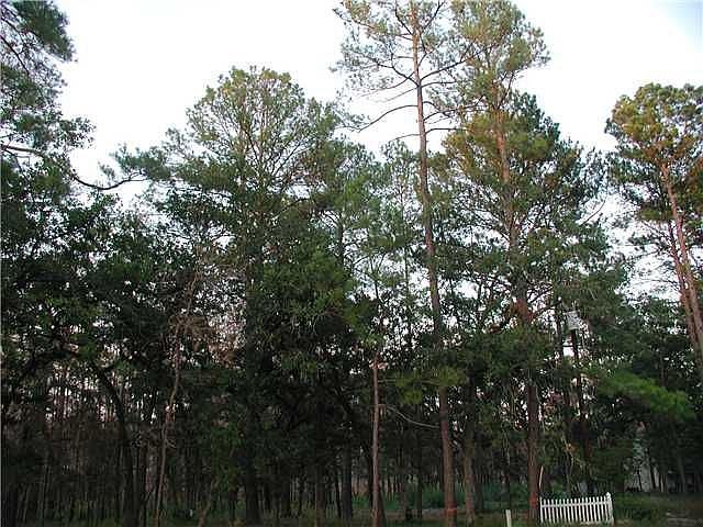 1st image of 118 Plover Dr