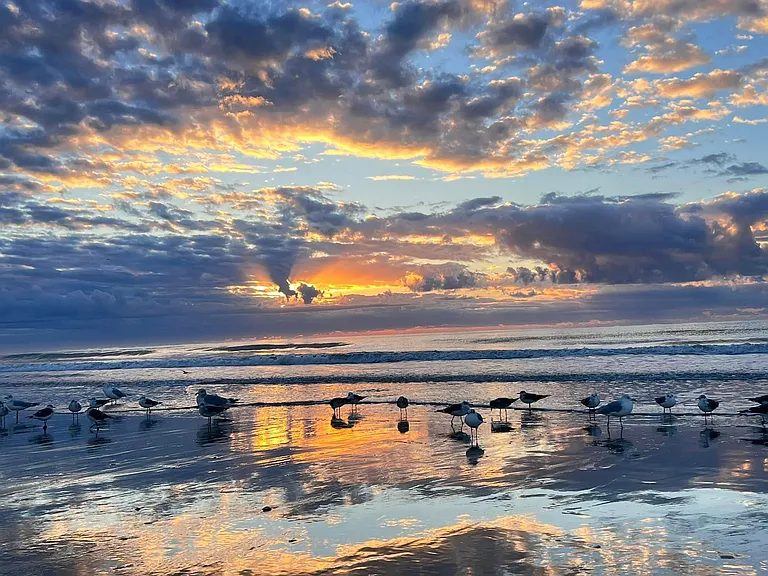 Beautiful wide beach a mile away; Watch sunsets from condo and sunrises on the beach