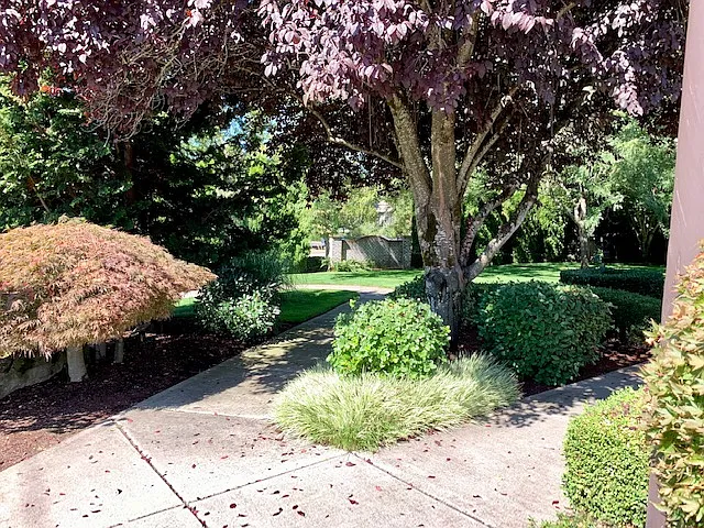 Westbury Commons — Photo 5