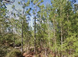 Orchid Dr #19, Interlachen, FL 32148