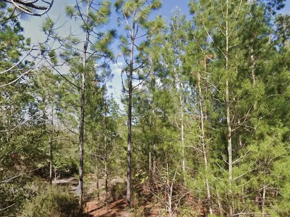 Orchid Dr #19, Interlachen, FL 32148