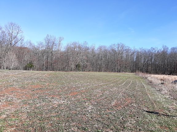 Property line to the right.
