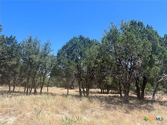 4th image of 219 County Road 4360