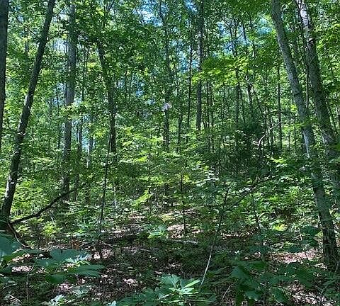 2nd image of 13 Mountain Lake Dr Unit 13