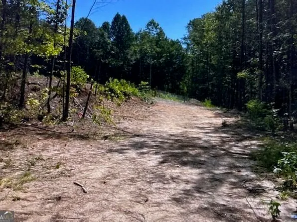 315 Delta Ln, Rockmart, GA 30153