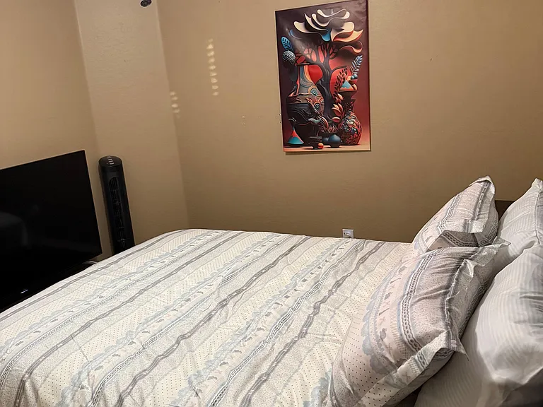 Furnished bedroom with a comfortable bed, ceiling fan with light, and space for a TV or small media setup.