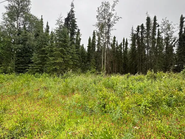 4406 N Dogwood Rd, Kenai, AK 99611
