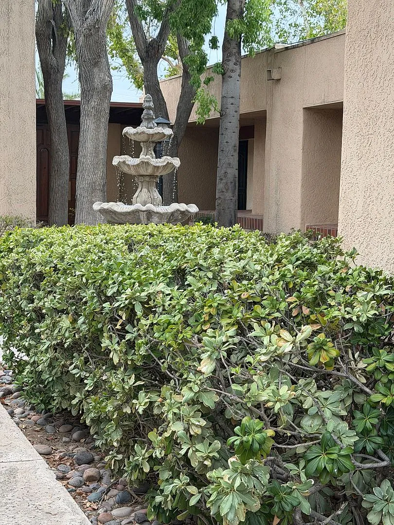 Stunning Midtown 2 Bedroom 2 Bath Townhome in Gated Community! — Photo 2