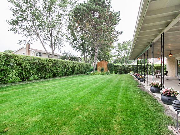 Back yard