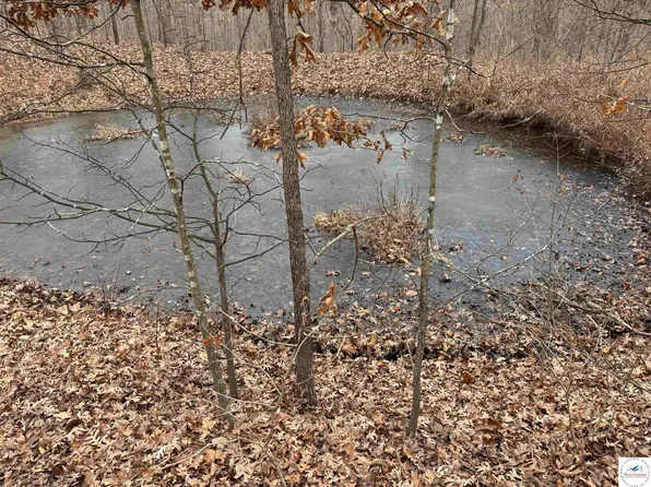 TRACT Industry Rd #C, Lebanon, MO 65536