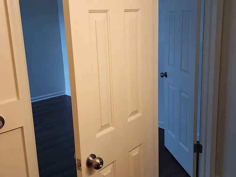 Looking from bathroom into master.