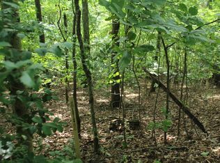 20 Skid Strip Ln, Hayesville, NC 28904