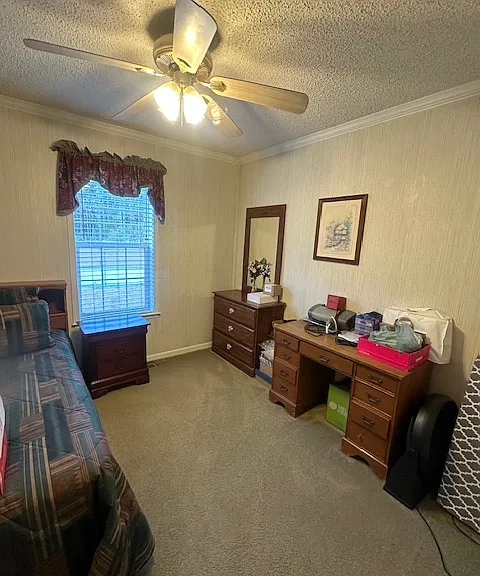29 Mike Dr — Photo 37