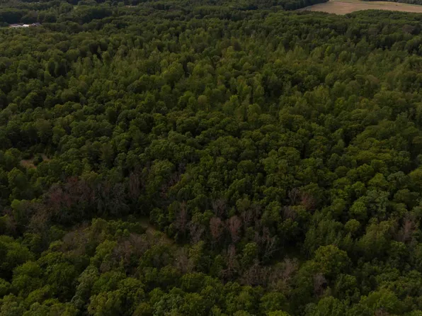 0 200th Ave, Morley, MI 49336