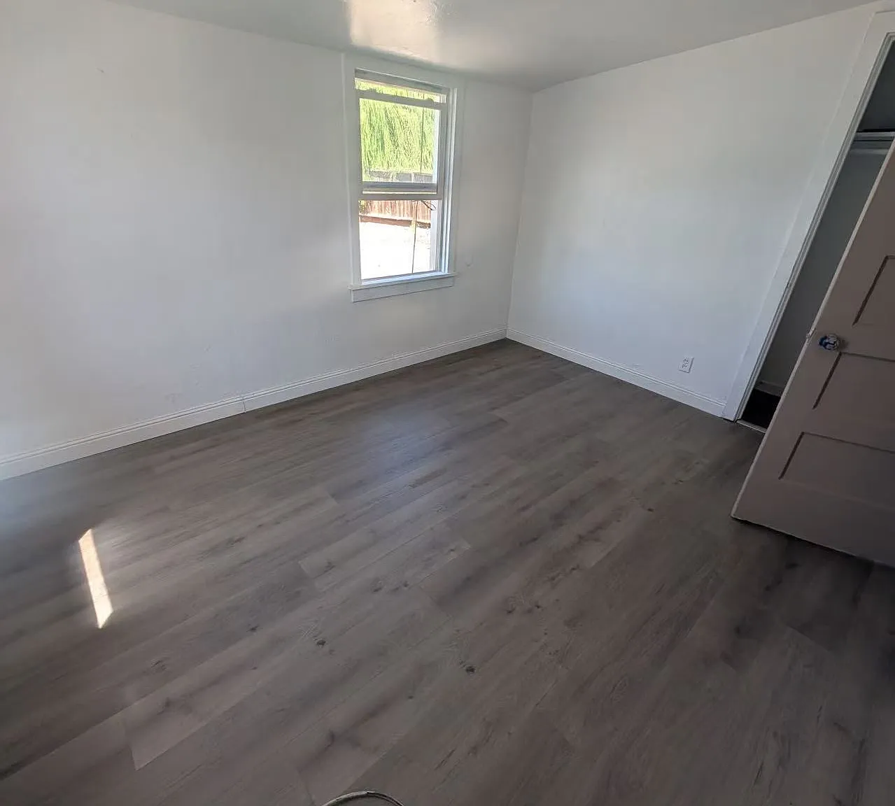 1 bed, 610 sqft, $1,200 — Photo 3