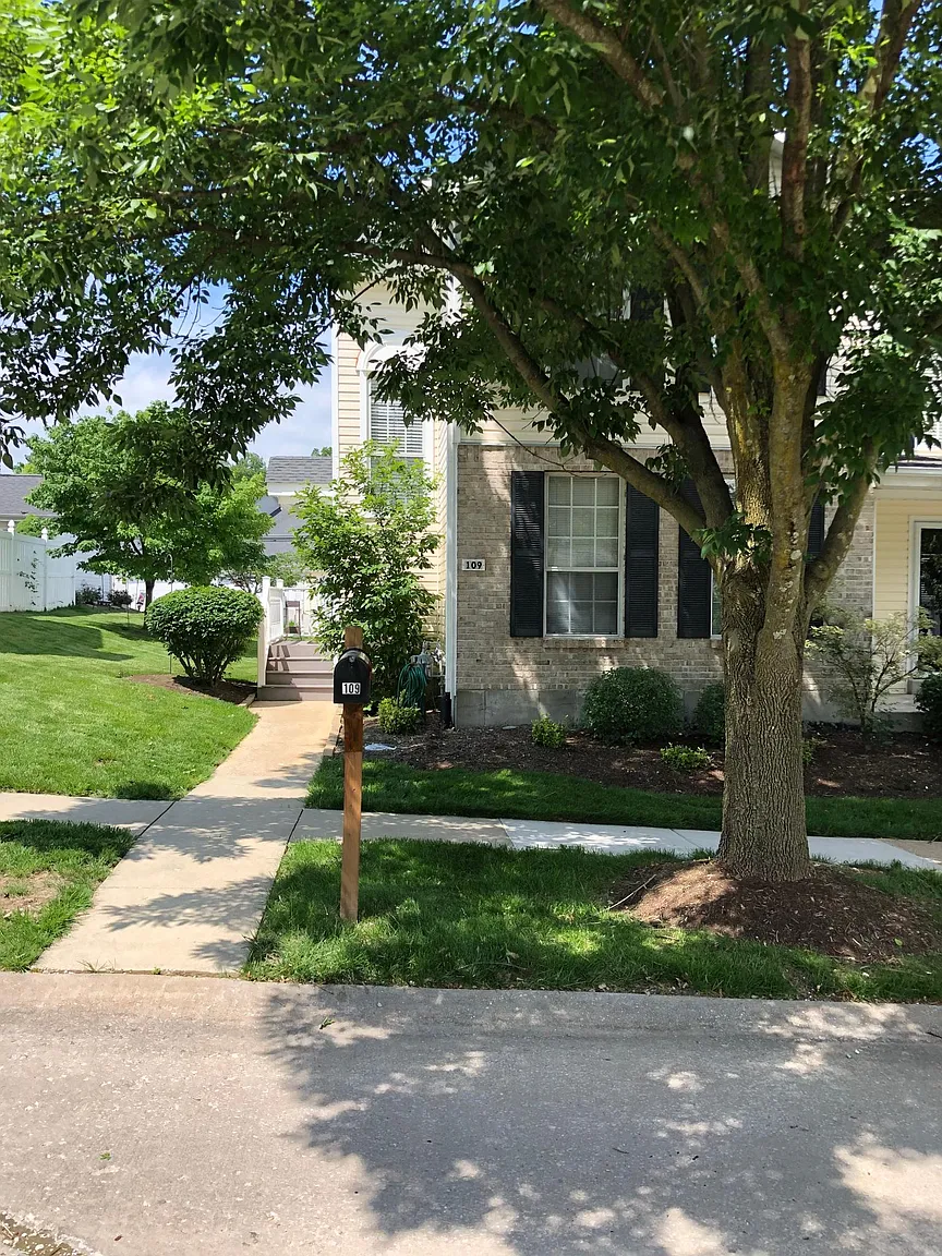109 Carriage View Dr photo 1