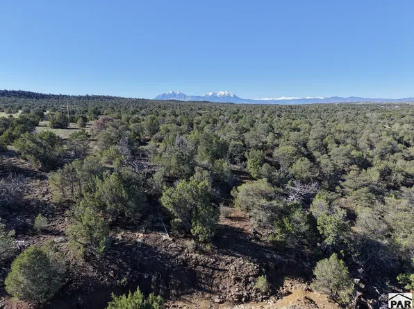Los Vaqueros Cir, Walsenburg, CO 81089
