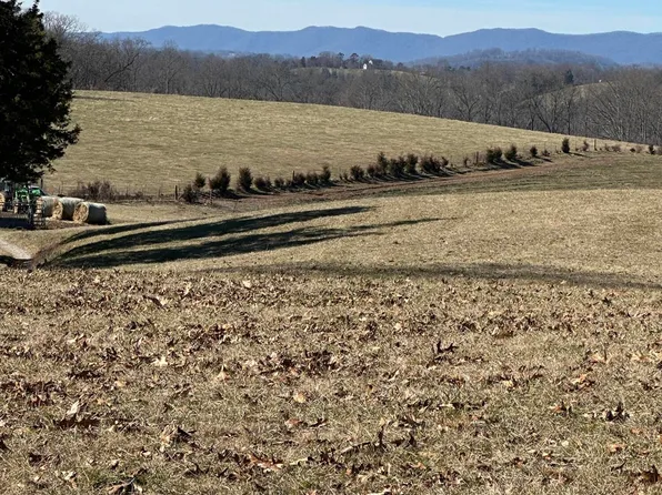 0 Baldwin Hill Rd, New Tazewell, TN 37825