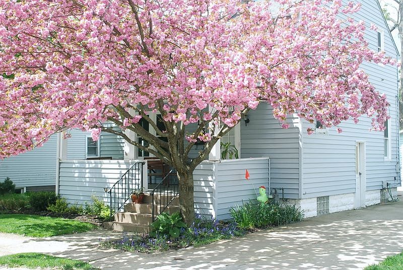 1st image of 163 N Hamilton Ave