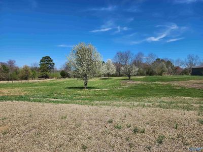 0 Highway 67, Joppa, AL, 35087