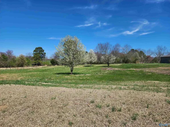 0 Highway 67, Joppa, AL 35087