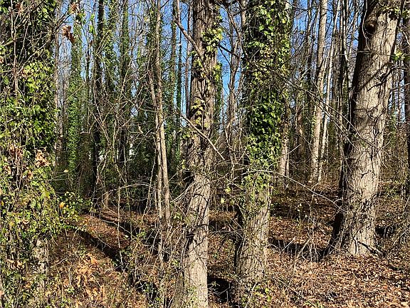 2nd image of 0 Cox Ave