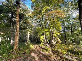 A23 Hunter Jim Creek Rd, Cullowhee, NC 28723