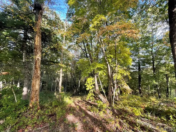 Lot A23 Hunter Jim Creek Road, Cullowhee, NC 28723
