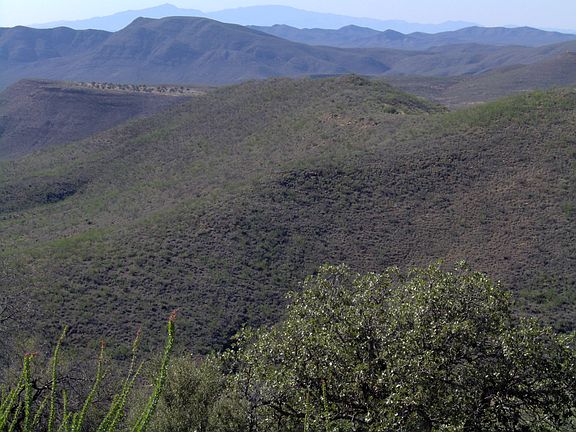 4th image of 4082 S Mule Mountain Dr