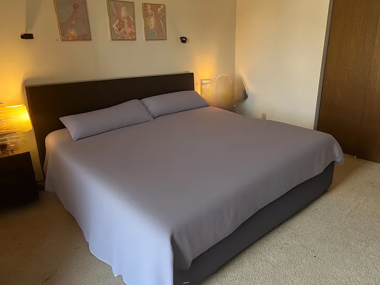 460 Emerson Dr #3 — Photo 14