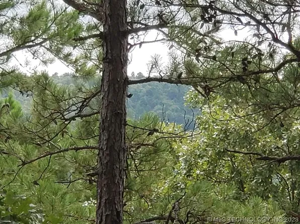 Water Tower Rd, Talihina, OK 74571