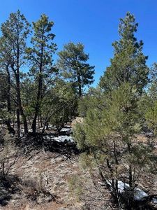 7720 Mogollon Trl, Happy Jack, AZ, 86024