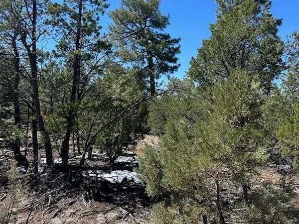 7720 Mogollon Trl, Happy Jack, AZ 86024