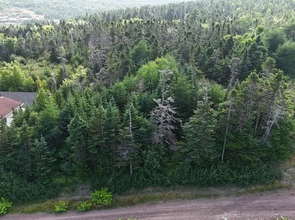 100C Main Street, Lewin's Cove, NL A0E2G0