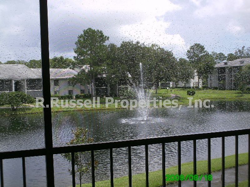Pond View