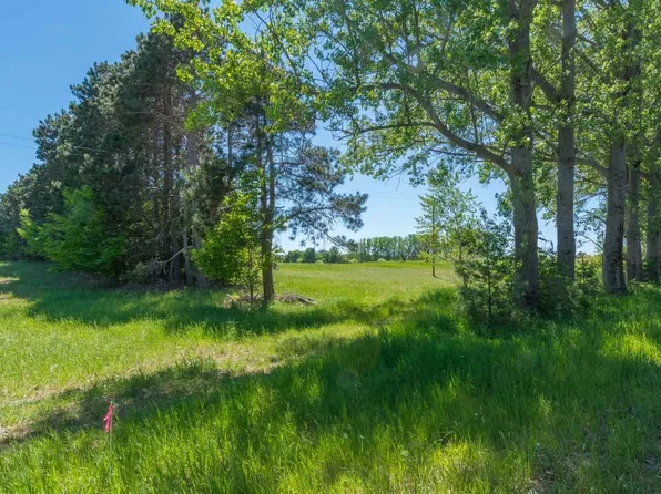 0 W Ryant Rd, Maple City, MI 49664