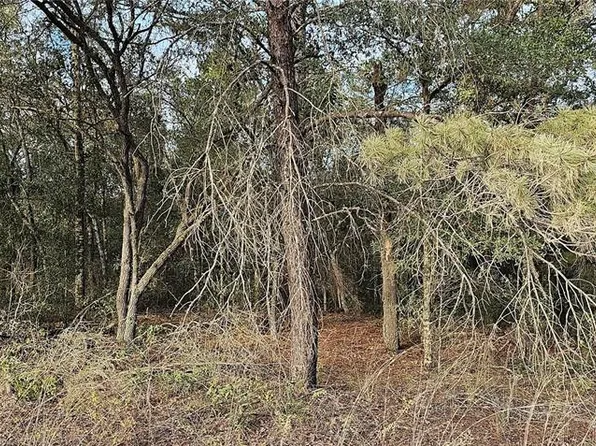 1387 N Hajik Path #40, Lecanto, FL 34461