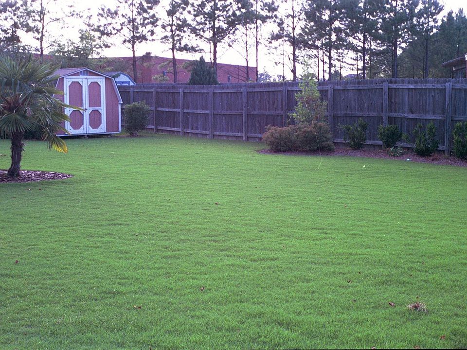 Back Yard from Driveway