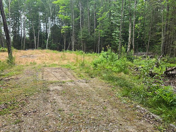 3rd image of 2438 Village Rd