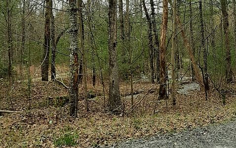 2nd image of LOT 10 Peter Knob Rd