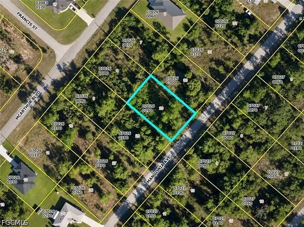 346 Mangonia Ave, Lehigh Acres, FL 33974