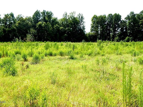 3rd image of 590 County Road 247